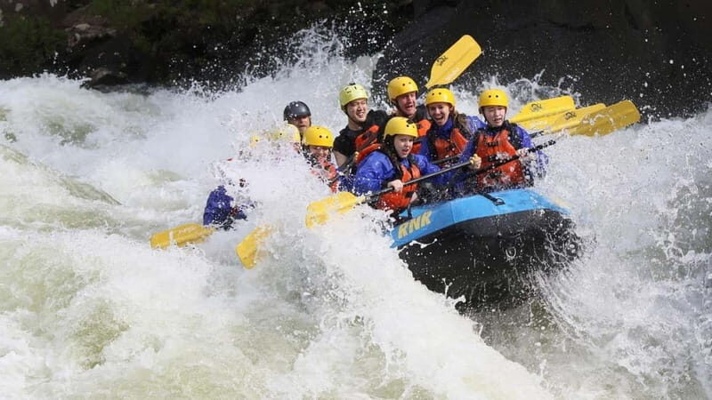 Rafting Tour, Transfer & Combo Options with Veg Lunch Option - Practical Tips for Booking and Participation