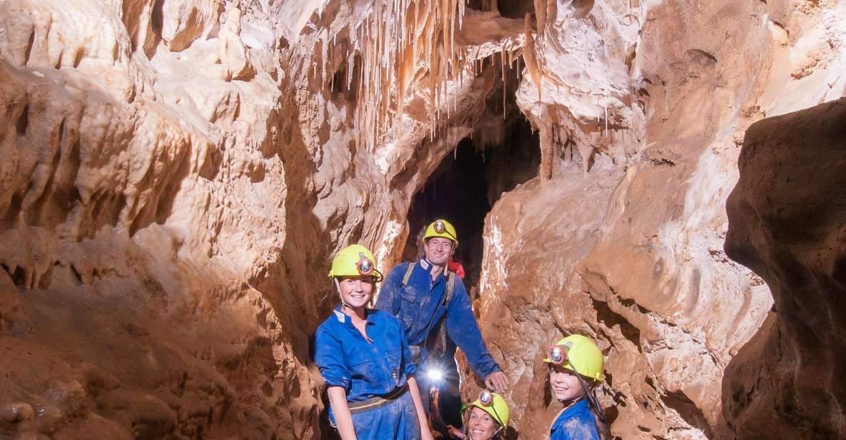 Raglan: Guided Cave Adventure With Glow Worms - Key Points