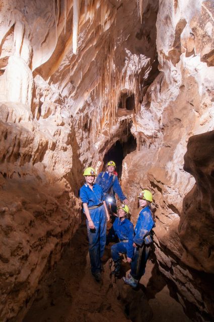 Raglan: Guided Cave Adventure With Glow Worms - Pricing Details