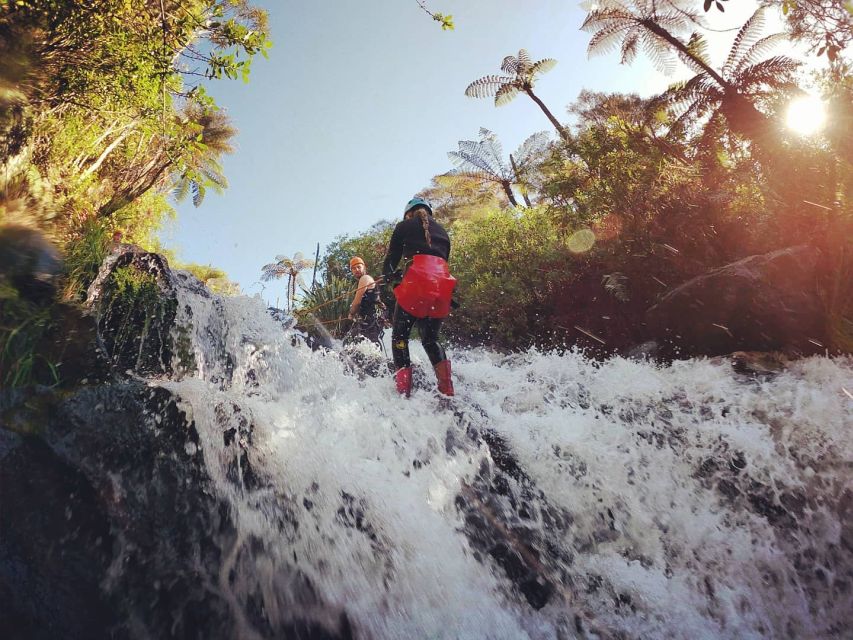 Raglan: Karioi Canyoning - Pricing and Duration