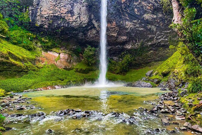 Raglan New Zealand Adventure Tour from Auckland - An In-Depth Look at the Raglan Day Tour