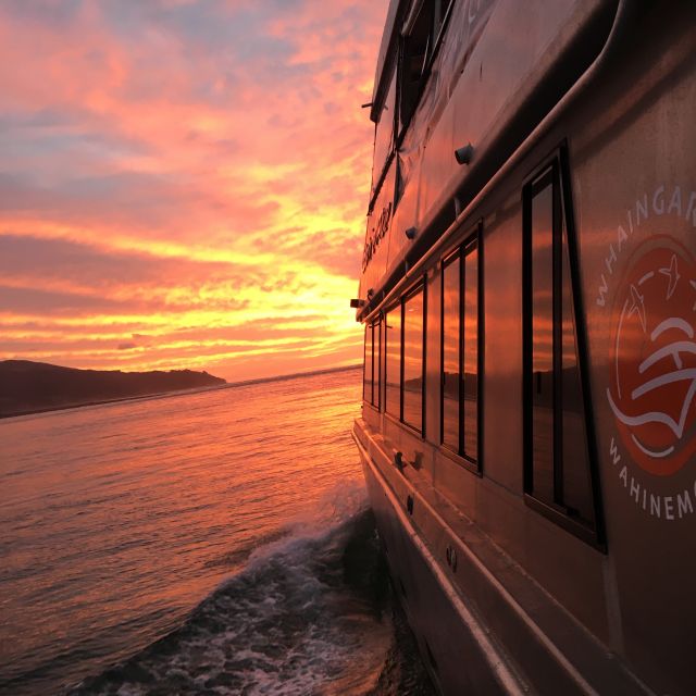 Raglan: Scenic Harbour Sunset Cruise - Key Points