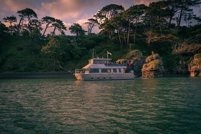 Raglan Scenic Nature Boat Cruise - The Practical Side: Logistics and Value