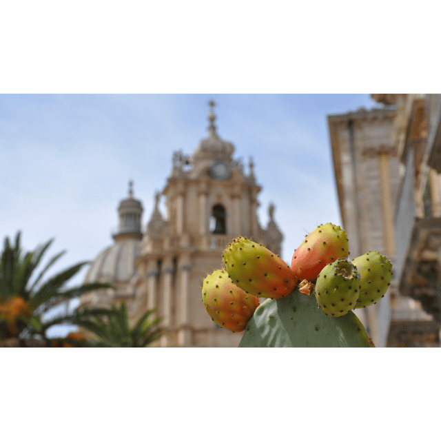 Ragusa and Modica Private tour - Key Points