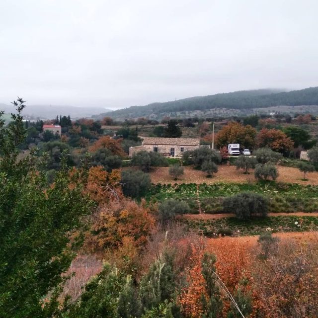 Ragusa Countryside Home Cooking Class & Meal - Organic Garden Exploration