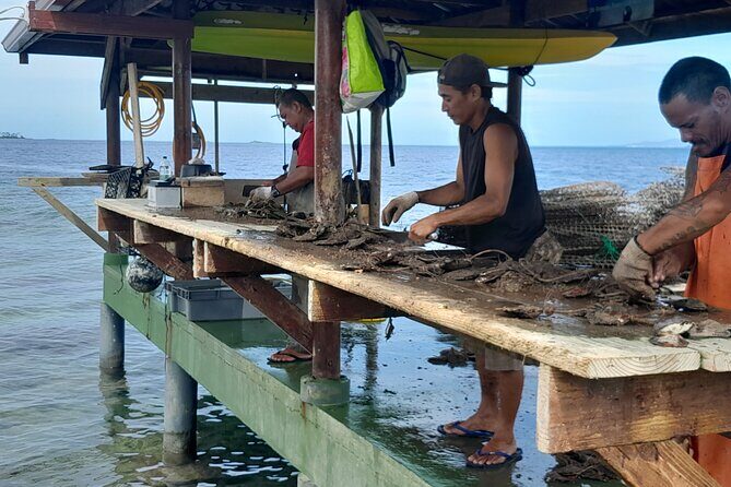 Raiatea-Beautiful Black Pearl of Tahiti and the Vanilla of Tahaa - Pricing and Value