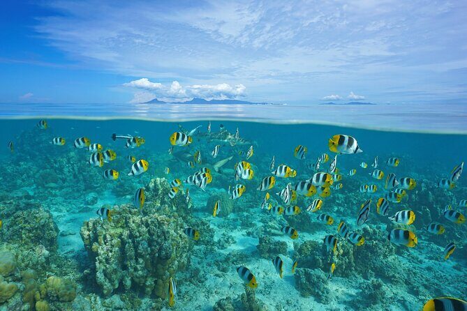 Raiatea & Tahaa Lagoon Cruise: Private Shore Tour - Key Points