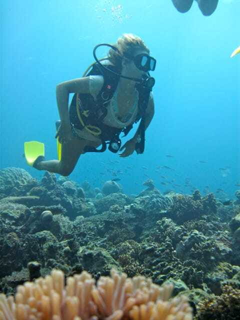RAID Try-Dive in Kota Kinabalu, Sabah - An Authentic Introduction to Sabah’s Underwater World