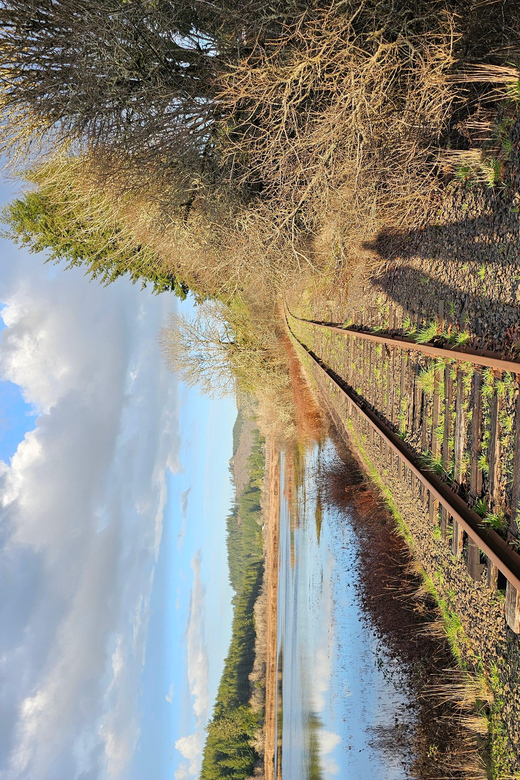 Rail Bike Tour - Tour Location and Pricing