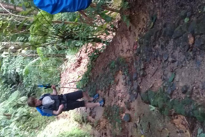 Rain forest and Bird watching - Final Thoughts