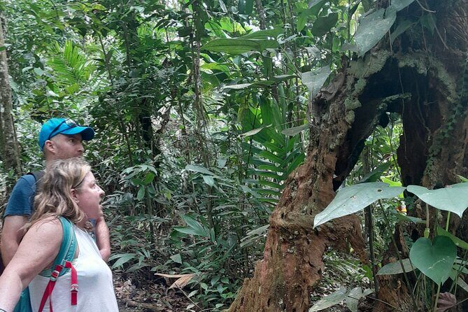 Rain forest and Bird watching - FAQ