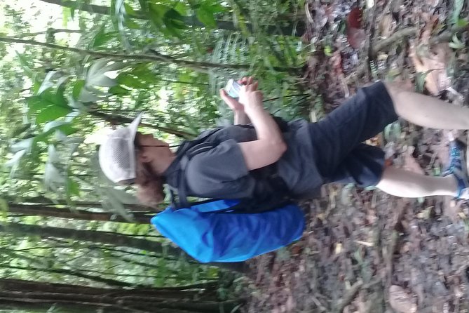 Rain Forest and Bird Watching - Exploring the Rainforest