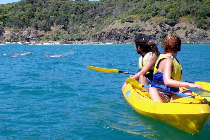 Rainbow Beach: Dolphin & Wildlife Ocean Kayak & Beach 4WD Tour - The 4WD Rides: A Scenic Path Through Nature