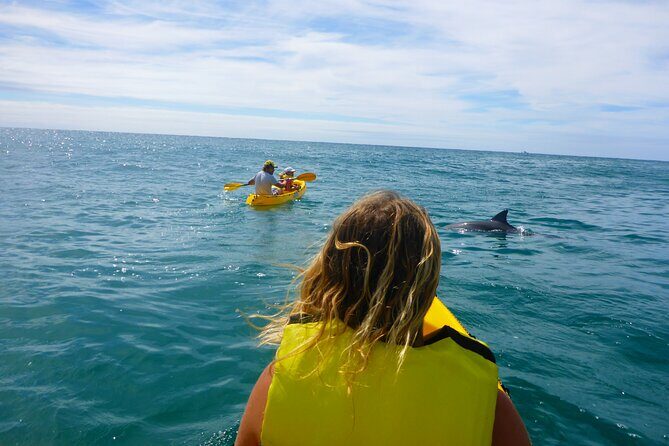 Rainbow Beach: Dolphin & Wildlife Ocean Kayak & Beach 4WD Tour - Practical Details and Considerations