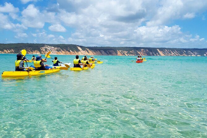 Rainbow Beach: Dolphin & Wildlife Ocean Kayak & Beach 4WD Tour - Who This Tour Is Perfect For