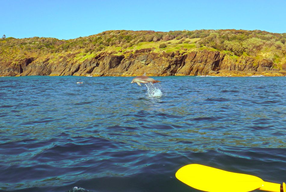 Rainbow Beach: Kayaking With Dolphins and Beach 4WD Tour - Key Points