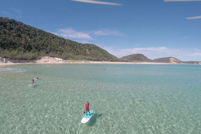 Rainbow Beach: Stand Up Paddle Board 4x4 Tour Double Island Point - Who Should Consider This Tour?