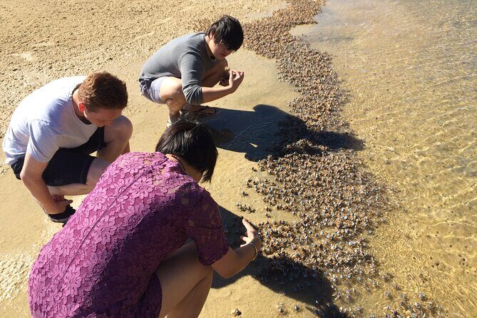Rainbow Beach: Stand Up Paddle Board 4x4 Tour Double Island Point - FAQ