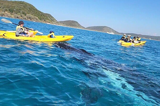 Rainbow Beach: Whale Watching Ocean Kayak Tour & Beach 4X4 - Exploring the Rainbow Beach Whale Watching & Kayaking Tour