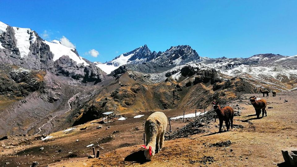 Rainbow Mountain Tour and Machu Picchu Tour by Train - Train Journey to Machu Picchu