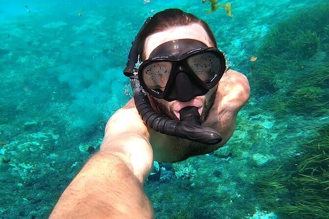 Rainbow River: 8AM & 3PM Snorkel or Scenic Wildlife Cruise - Price and Value