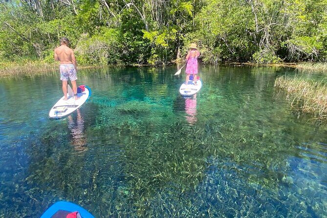 Rainbow Springs Electric Paddle Board Rentals - A Detailed Look at the Rainbow Springs Electric Paddle Board Tour