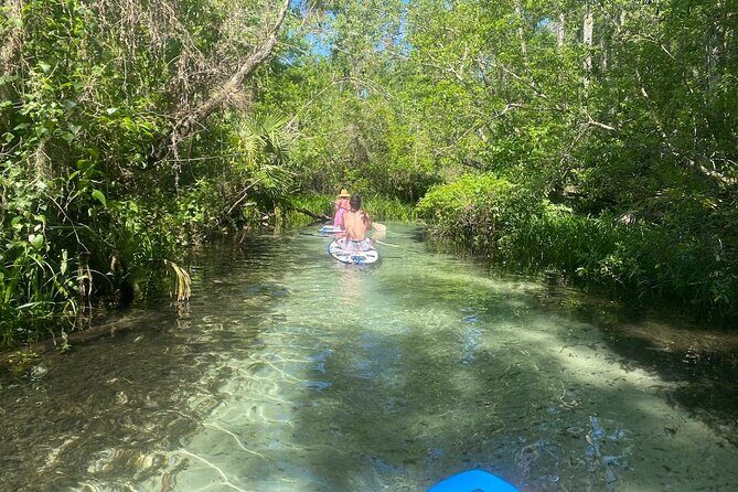 Rainbow Springs Electric Paddle Board Rentals - The Sum Up: Why Choose Rainbow Springs Electric Paddle Board Rentals?