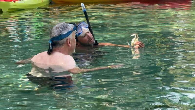 Rainbow Springs: Rainbow River Snorkel & Sightseeing Cruise - An Overview of the Experience