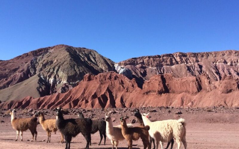 Rainbow Valley Tour + Petroglyphs (Yerbas Buenas) - Key Points