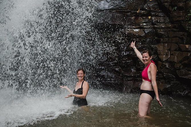 Rainforest Bathing Tour - What to Expect During the Tour