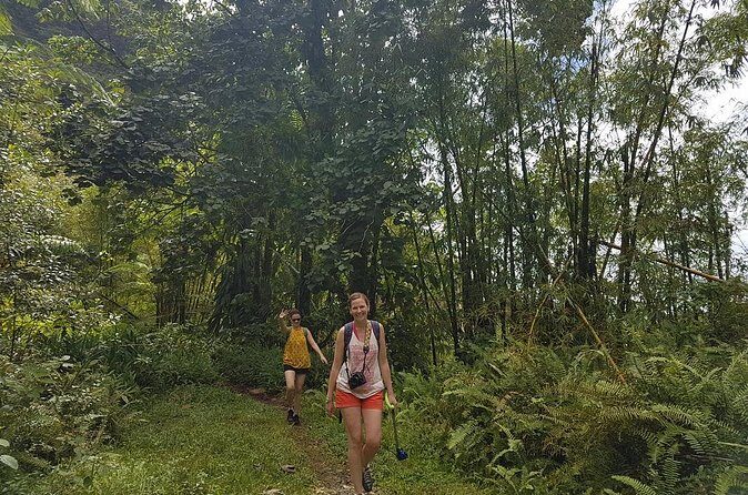 Rainforest Bathing Tour - Practical Considerations and Value