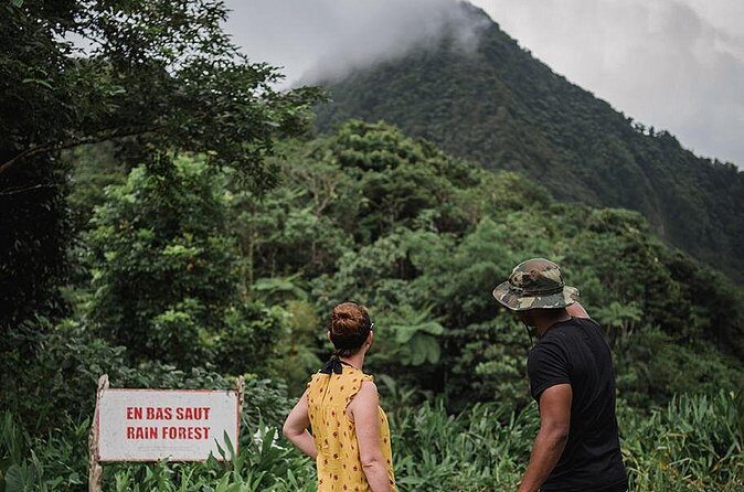 Rainforest Bathing Tour - The Experience Provider: Real St. Lucia Tours