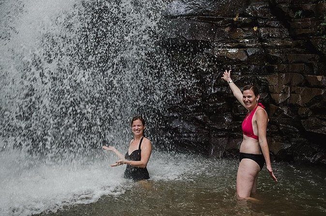 Rainforest Bathing Tour - Final Thoughts