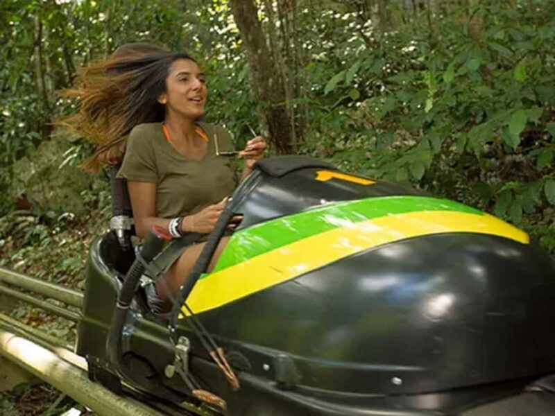 Rainforest Bobsled Mystic Mountain transportation - What It Feels Like to Ride the Bobsled