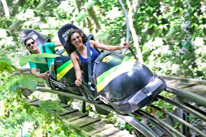 Rainforest Bobsled Mystic Mountain transportation - Additional Highlights and Scenic Moments