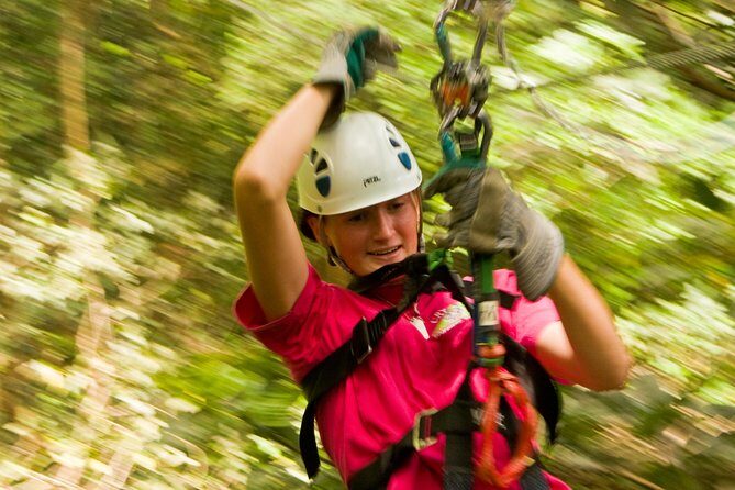 Rainforest Canopy Adventure from Vieux Fort or North Island, St Lucia - An Overview of the Rainforest Canopy Adventure