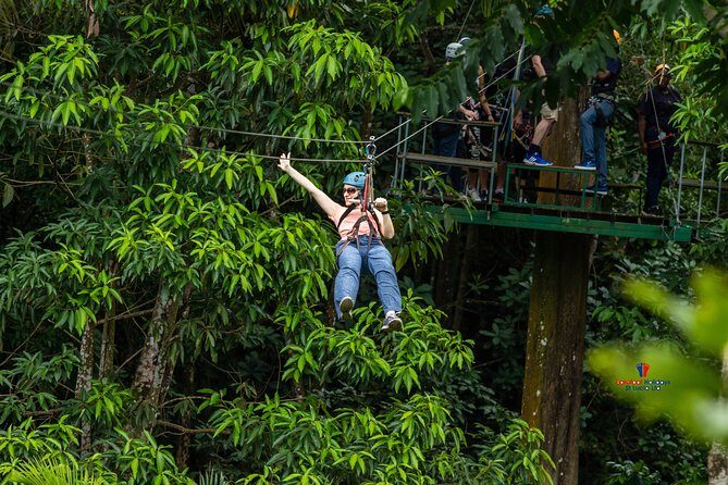 Rainforest Canopy Adventure from Vieux Fort or North Island, St Lucia - Who Will Enjoy This Tour?