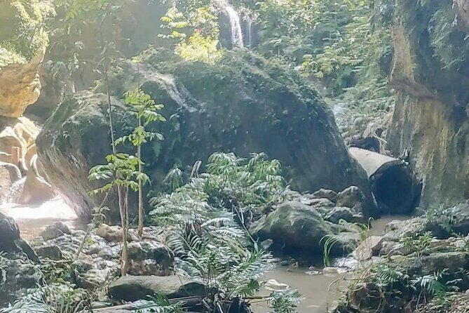 Rainforest Caves and Waterfalls Exploration with Transportation - What You Should Know Before Booking