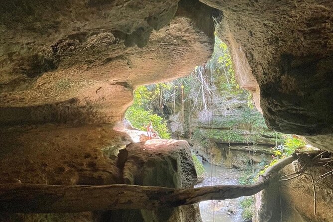 Rainforest Caves and Waterfalls Exploration With Transportation - Overview of the Tour