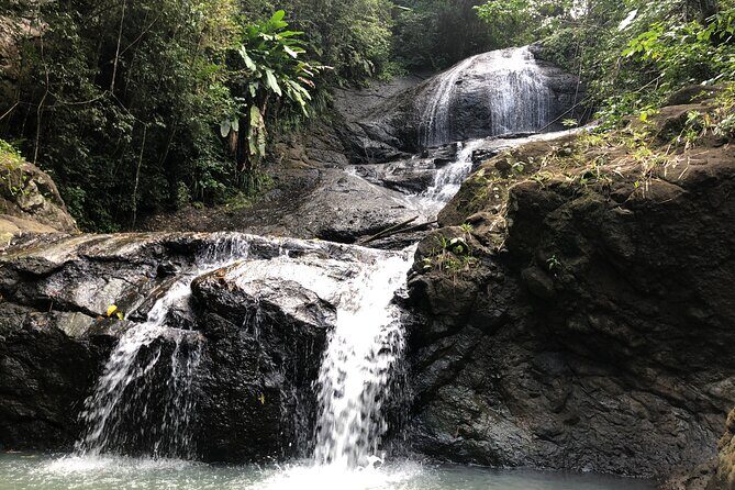 Rainforest Hike and Waterfall Safari - Key Points