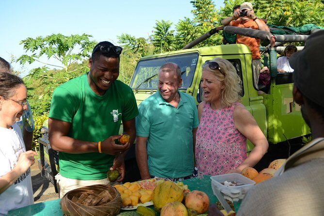 Rainforest Hike & Waterfall Safari St. Lucia From Castries - What’s Included and What’s Not