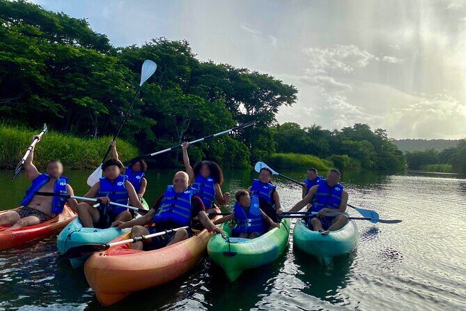 Rainforest Kayak Tour - Key Points