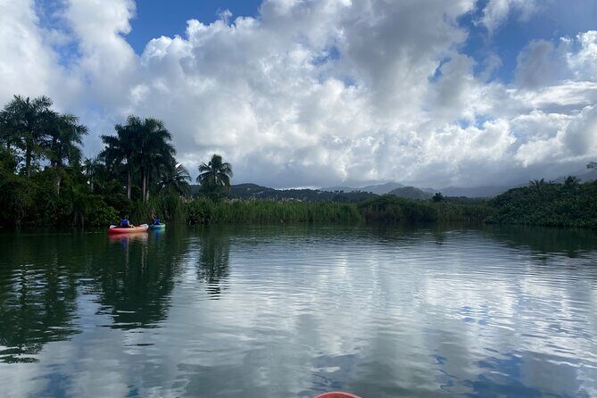 Rainforest Kayak Tour - What Is the Rainforest Kayak Tour?