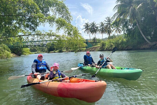 Rainforest Kayak Tour - The Experience in Detail