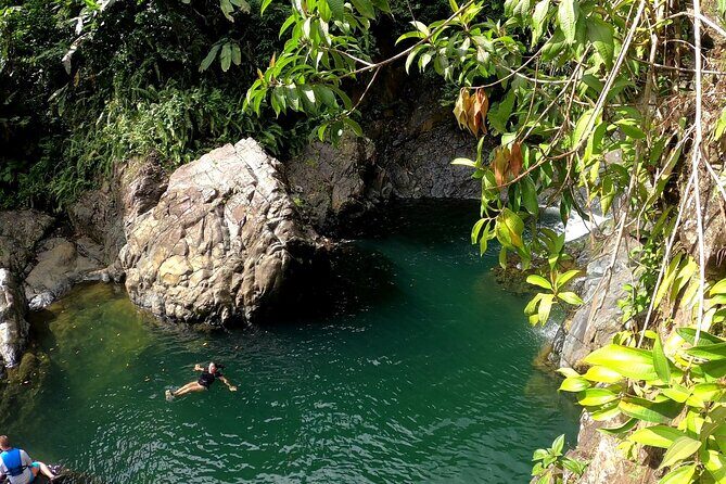 Rainforest Nature Walk & Luquillo Beach Combo - Exploring the Rainforest Nature Walk & Luquillo Beach Combo