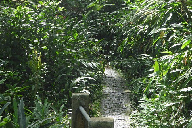 Rainforest Nature Walk & Luquillo Beach Combo - Key Points