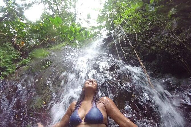 Rainforest River Hike and Waterfalls Adventure - The Sum Up