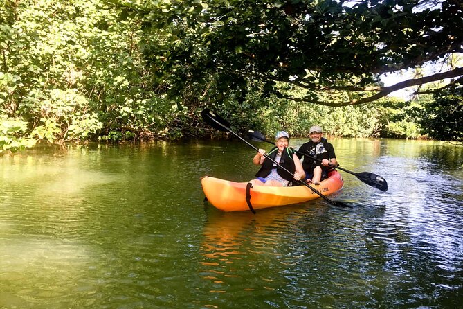 Rainforest River Kayak Self-Guided Kayak Tour - Health and Safety Considerations