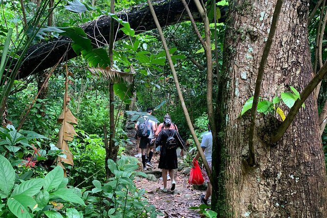Rainforest River Nature Walk Adventure and Luquillo Beach - Who Is This Tour Best For?