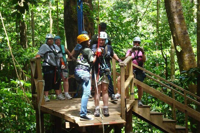 Rainforest Rush: St. Lucia Zip Line Adventure - What’s Included and What’s Not?